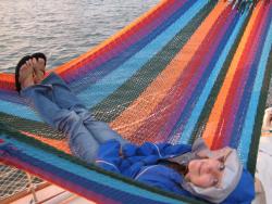 hammock.jpg